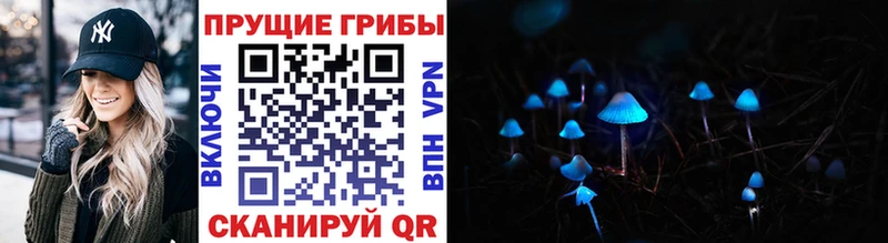 Псилоцибиновые грибы прущие грибы  купить наркотики цена  Дзержинский 