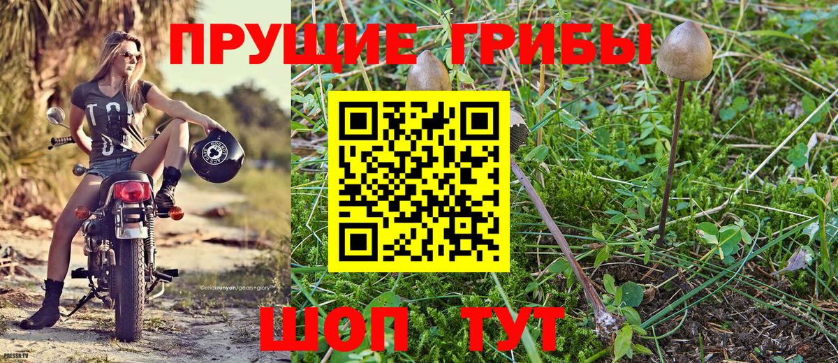 Псилоцибиновые грибы MAGIC MUSHROOMS  как найти наркотики  Дзержинский  Вход с VPN 
